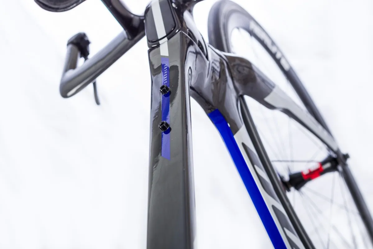 Gavia Daedalus Rammesett, S