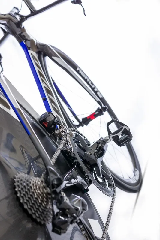 Gavia Daedalus Rammesett, S