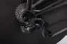 Gavia Daedalus Rammesett, S