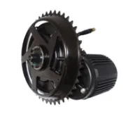 Gavia Forzo E-MTB Krankmotor Gavia Forzo E-MTB Krankmotor