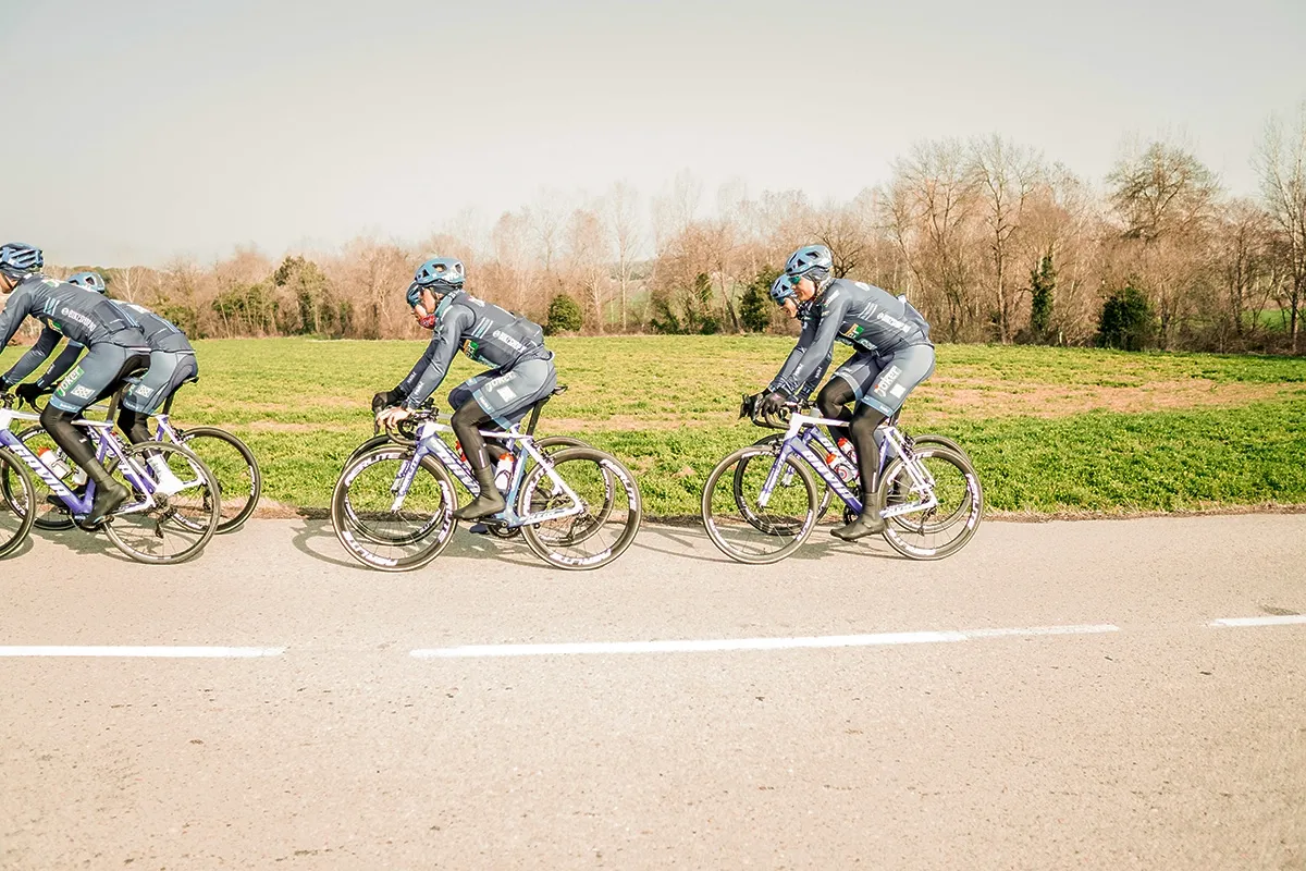 Gavia Imperiale Rød DISC Rammesett 2019, M Gavia Imperiale Rød DISC Rammesett 2019, M
