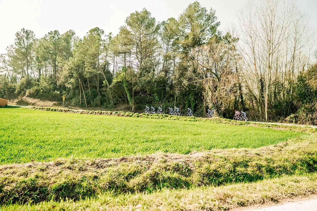 Gavia Imperiale Rød DISC Rammesett 2019, M Gavia Imperiale Rød DISC Rammesett 2019, M