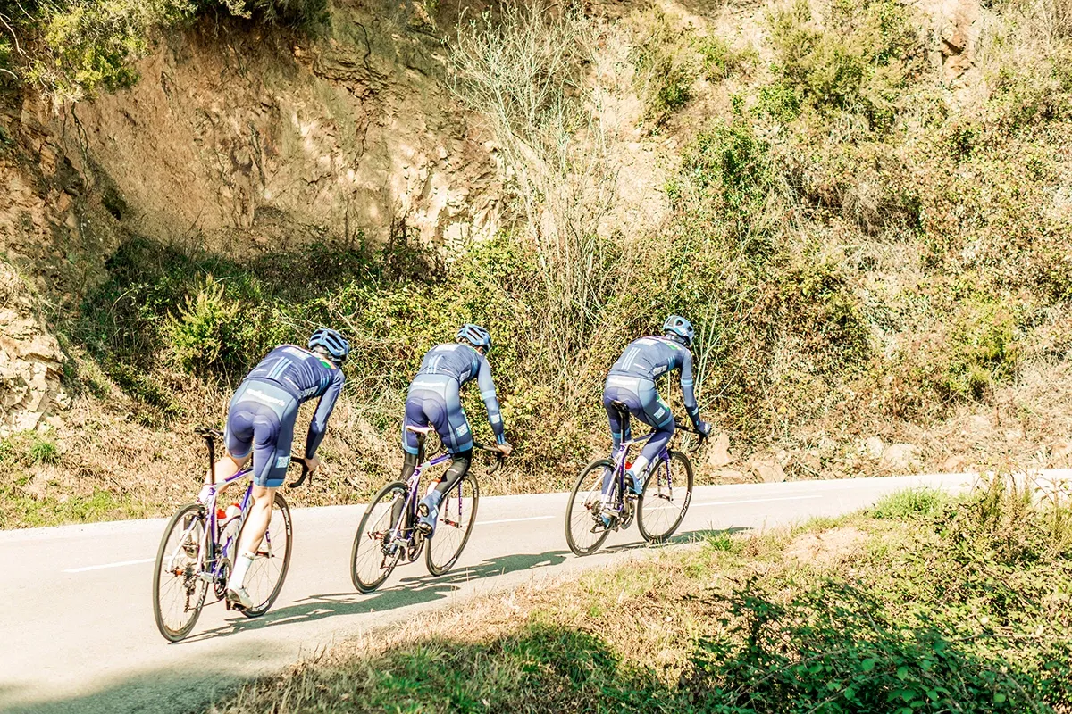 Gavia Imperiale Rød DISC Rammesett 2019, M Gavia Imperiale Rød DISC Rammesett 2019, M