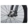 Ghost Lector Sf Lc Universal 29´´ X01 Eagle 2022 Terrengsykkel, Raw carbon / riot red glossy / matte, L