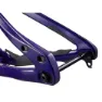 Giant Glory Advanced Legends Edition Frameset Mtb-ramme