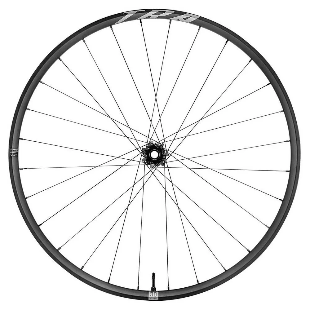 Giant Tra 29´´ Boost 6b Disc Tubeless Hookless Terrengsykkel Forhjul, Black, 15 x 110mm