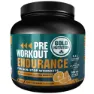 Gold Nutrition Utholdenhet Før Trening Appelsin 300gr, Black, One Size