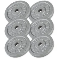 Gorilla Vektskiver JERN Sølv - 6x5kg, Vektpakke jern