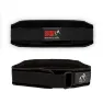 Gorilla Wear 4 Inch Women´s Lifting Belt