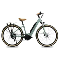 Granville E-absolute 34 Plus Altus Elektrisk Sykkel