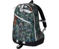 Gregory Day PC Backpack