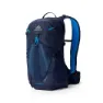 Gregory Miko 20 Plus Sekk, Volt blue