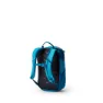 Gregory Wander 8 Junior-ryggsekk