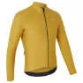 Mustard yellow