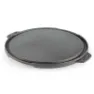 GSI Guidecast 10´´ Stekeplate, Multicolor, One Size