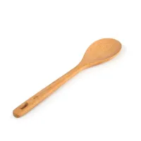 GSI Rakau Chef Spoon