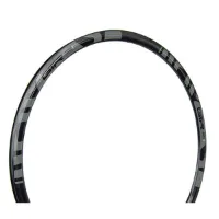 GTR Rr Disc Felg