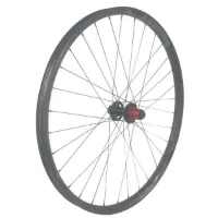 GTR Sl30 29´´ Cl Ratchet Disc Tubeless Mtb Bakhjul