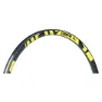 Black / yellow