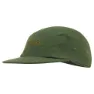 Seaweed green