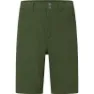 Seaweed green