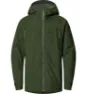 Seaweed green