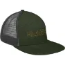 Seaweed green / magnetite