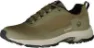 Dark olive green