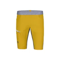 Hannah Torres Shorts
