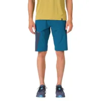 Hannah Torres Shorts
