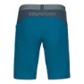 Hannah Torres Shorts