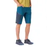 Hannah Torres Shorts