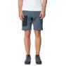 Hannah Verne Shorts