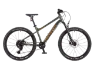 Hard Rocx Barnesykkel iFarta RS 24", Green