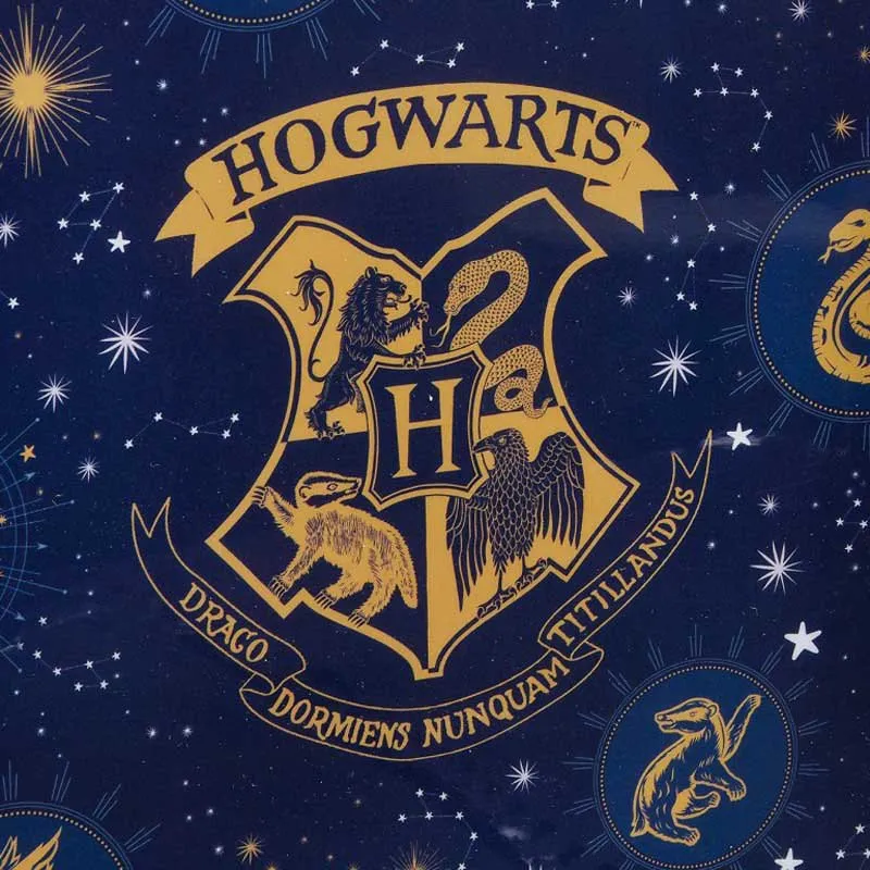 Harry Potter Navy Lunsjbag, Multicolor