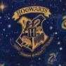 Harry Potter Navy Lunsjbag, Multicolor