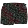 Head Team Printed Badeshorts Boxer male, Coloured, 11Y