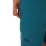 Helly Hansen Elv Light Tur Shorts