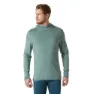 Helly Hansen Lifa Merino Midweight Langarmet T-skjorte male, Cactus