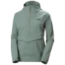 Grey cactus