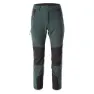 Darkest spruce / black