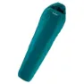Deep teal / silver pine
