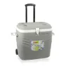Hidalgo Productos Premium Stivt Kjøleskap 41l, Grey, One Size