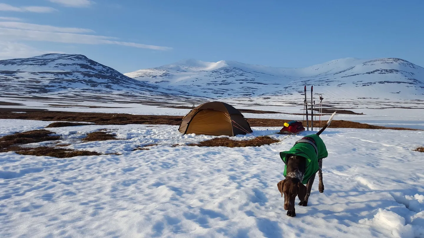 Hilleberg Allak 2 Telt Hilleberg Allak 2 Telt