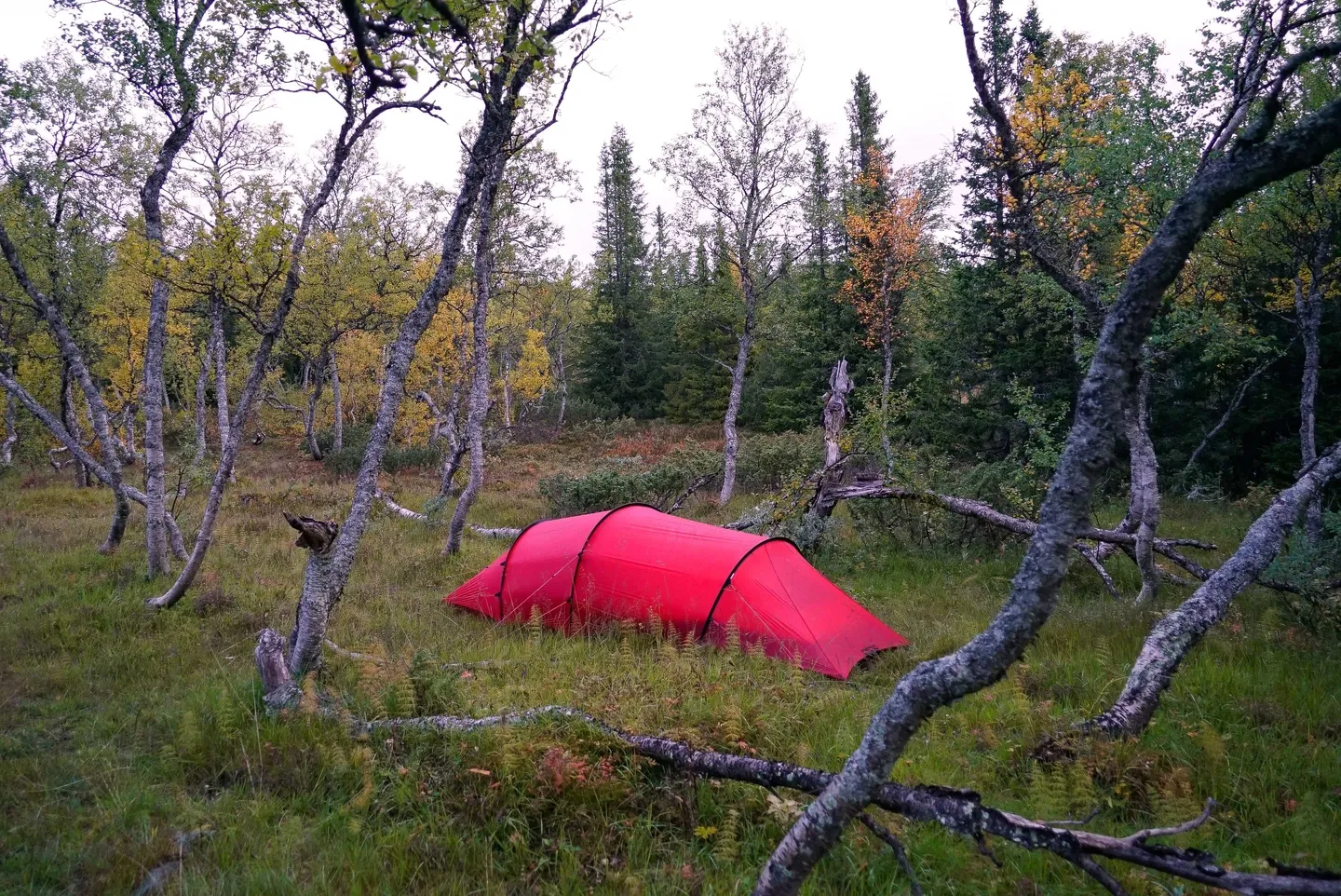 Hilleberg Anjan 2 GT Telt Hilleberg Anjan 2 GT Telt