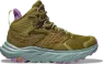 Green moss / agave