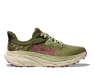 Forest floor / beet root