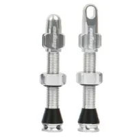 Hope Tubeless Ventiler 2 Enheter