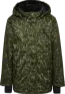 Olive night