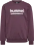 Huckleberry